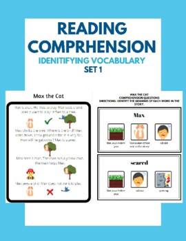 Preview of Reading Comprehension - Identifying Vocabulary - Set 1
