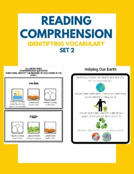 Preview of Reading Comprehension - Identifying Vocabulary - Set 2