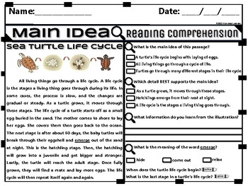 Reading Comprehension Main Idea | 2nd Grade Reading Comprehension Passages