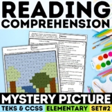 NonFiction Reading Comprehension Mystery Picture Activitie