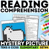 NonFiction Reading Comprehension Passage Mystery Picture F