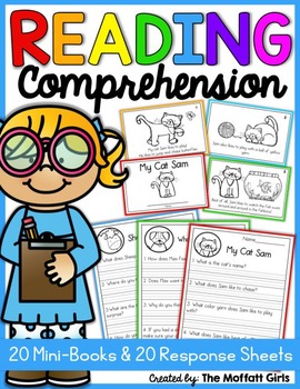 Preview of Reading Comprehension Packet!