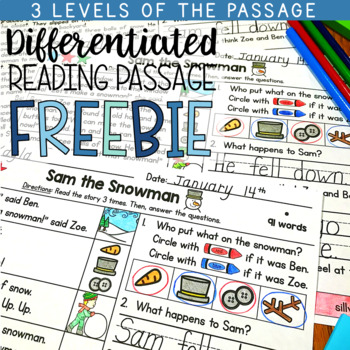 Preview of Reading Comprehension Passage 1st Grade FREE