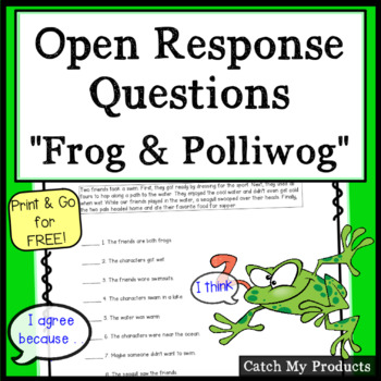 Preview of Open Response Questions FREE