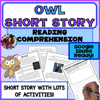 Preview of Reading Comprehension Passage Owls | Short Story Fiction