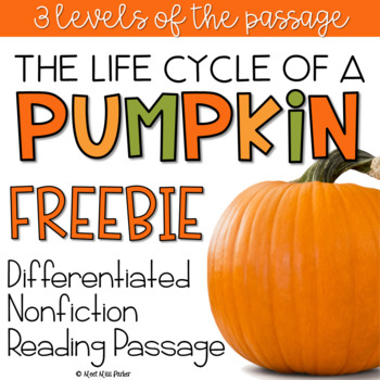 Preview of Reading Comprehension Passage Pumpkin Life Cycle FREE
