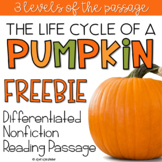 Reading Comprehension Passage Pumpkin Life Cycle FREE
