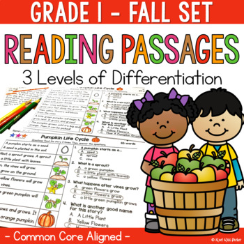 Preview of Differentiated Reading Comprehension Passages 1st Grade Fall