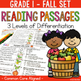 Differentiated Reading Comprehension Passages 1st Grade Fall