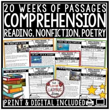 Preview of Nonfiction Poetry Reading Comprehension Passages and Questions UEMayDeals3