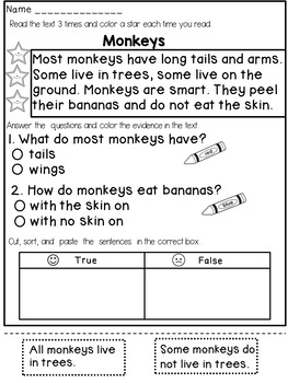 first grade reading comprehension passages and questions by dana s wonderland