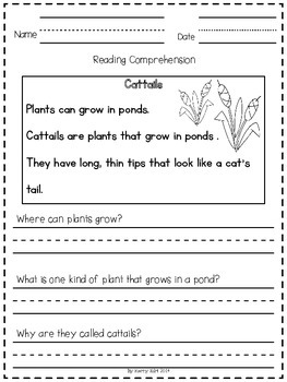Reading Comprehension Passages: Life in the Pond (Kindergarten and