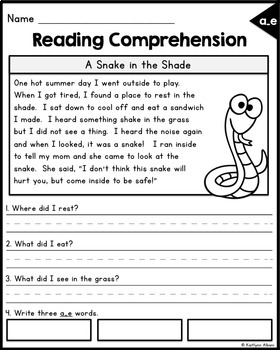 Reading Comprehension Passages - Long Vowels by Kaitlynn Albani | TpT