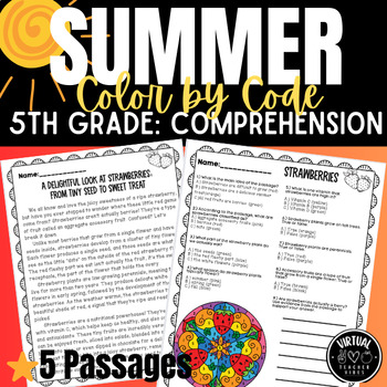 Preview of Reading Comprehension Passages & Questions  5th Grade, Summer, Sub Activity