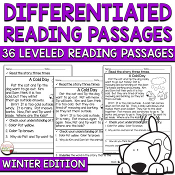 Preview of Reading Comprehension Passages & Questions Differentiated Fiction Winter