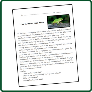 Reading Comprehension Passages - Rainforest Animals by The Teacher's Space