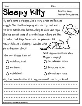 Reading Comprehension Passages- Set 2 by Enchanted in Elementary