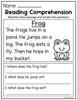 Reading Comprehension Passages and Questions by Hamna Shahid | TPT