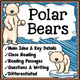 Polar Bears Reading Comprehension Passages and Questions 1
