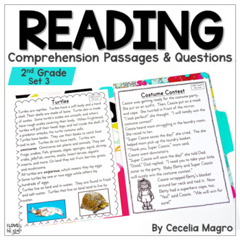 Preview of Reading Comprehension Passages and Questions 2nd Grade Set 3