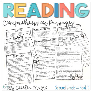 Preview of Reading Comprehension Passages and Questions 2nd Grade Set 5