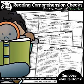 Preview of Reading Comprehension Passages and Questions DECEMBER (3rd Grade)