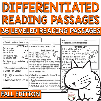 Preview of Reading Comprehension Passages and Questions Differentiated Fall FICTION 