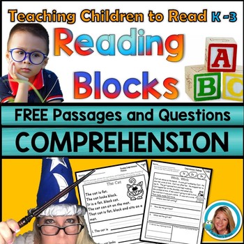 Preview of Reading Comprehension Passages and Questions FREEBIE