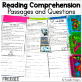 Reading Comprehension Passages and Questions Freebie DIGIT