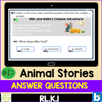 Preview of Reading Comprehension Passages and Questions | Key Ideas and Details
