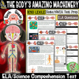 Reading Comprehension Passages and Questions (The Human Body) Gr 6