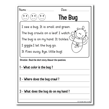 Reading Comprehension Passages and Questions Worksheets - First Grade ...