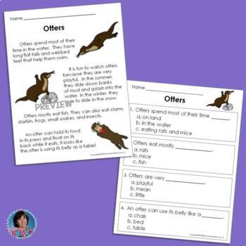 First Grade Reading Prehension Passages For Guided