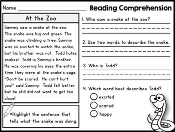 Reading Comprehension Practice Passages by Kaitlynn Albani | TpT