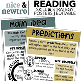 Reading Comprehension Skills and Strategies Posters and Ed
