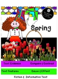Reading Comprehension Spring Review 2nd and 3rd Grade