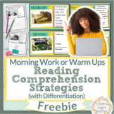 Reading Comprehension Strategies Morning Work Picture of the Day Freebie