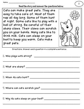 Reading Comprehension Worksheets By Teacher's Take-out 