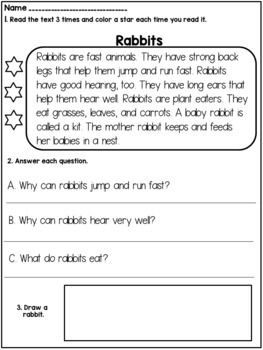 Reading Prehension Passages And Questions 1st Grade
