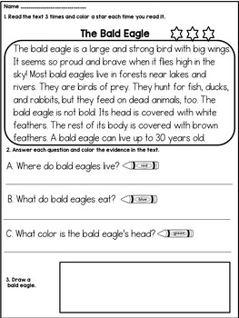 1st 2nd Grade Reading Comprehension Passages And Questions By Dana S Wonderland