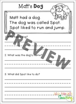 1st Grade Reading Comprehension Passages & Questions (Differentiated