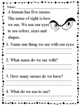 Reading Comprehension-mini passages by Mary Daugherty | TPT