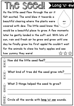Reading Comprehension Passages and Phonics Activities – Short and Long