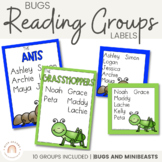 Reading Groups - Posters & Labels | Bugs & Minibeasts