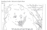 Reading Guide : Touching Spirit Bear Part 2