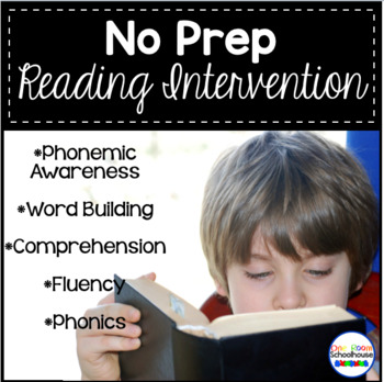 Preview of Reading Intervention Program- No Prep Curriculum