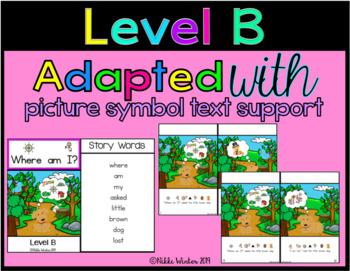 Preview of Adapted Level B Book (Where Am I?) Text & Comprehension (SPED/Autism)
