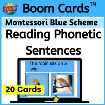 Preview of Reading Phonetic Sentences - Digital Activity