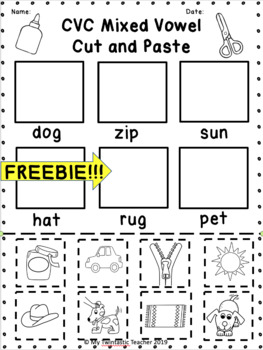 Reading Mixed Vowel CVC Words Cut and Paste