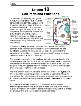Preview of Reading Passage 18: Cell Parts & Functions (Word)